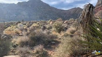 Пустили по кругу мобильное